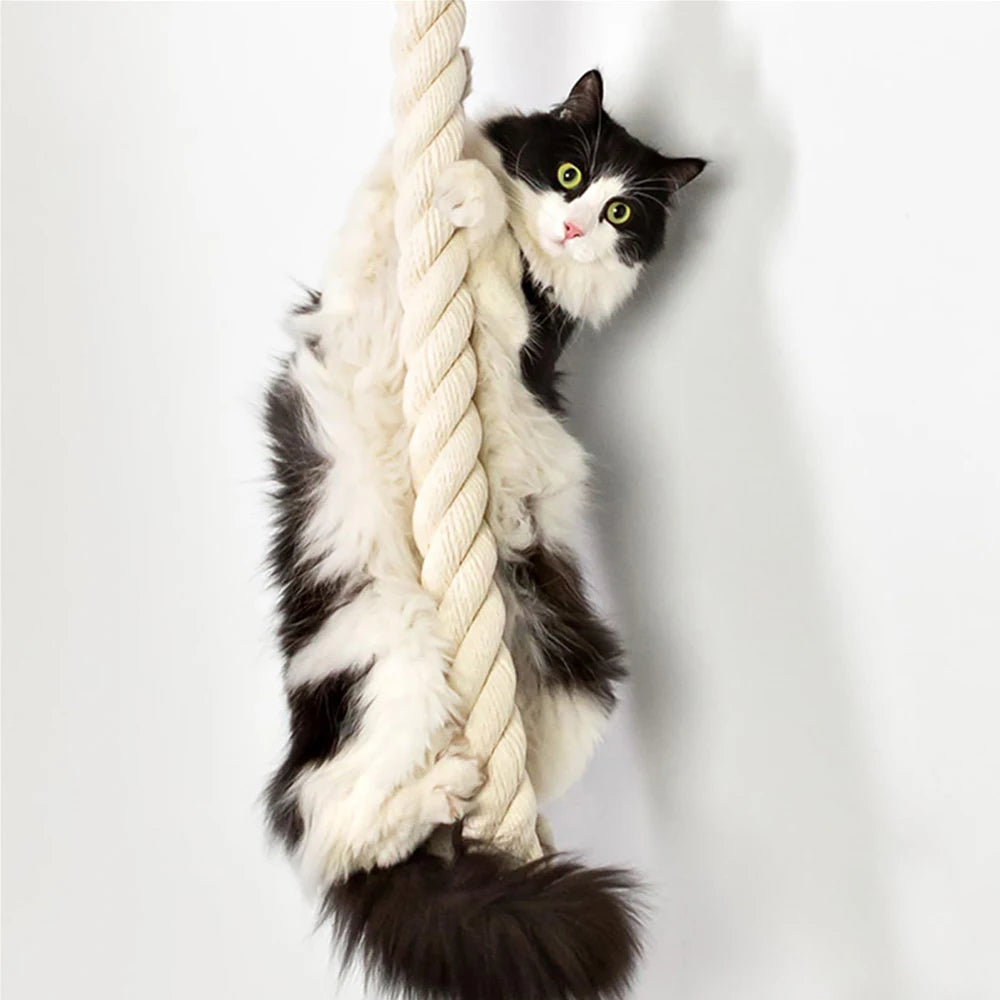 Cat Climbing Shelf and Rope Tree Wall Mounted