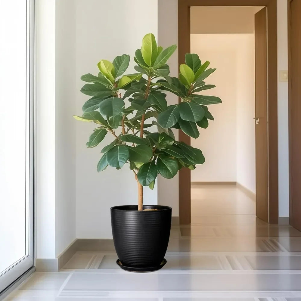12 Inch Pots for Plants - Ceramic Planter Pot,