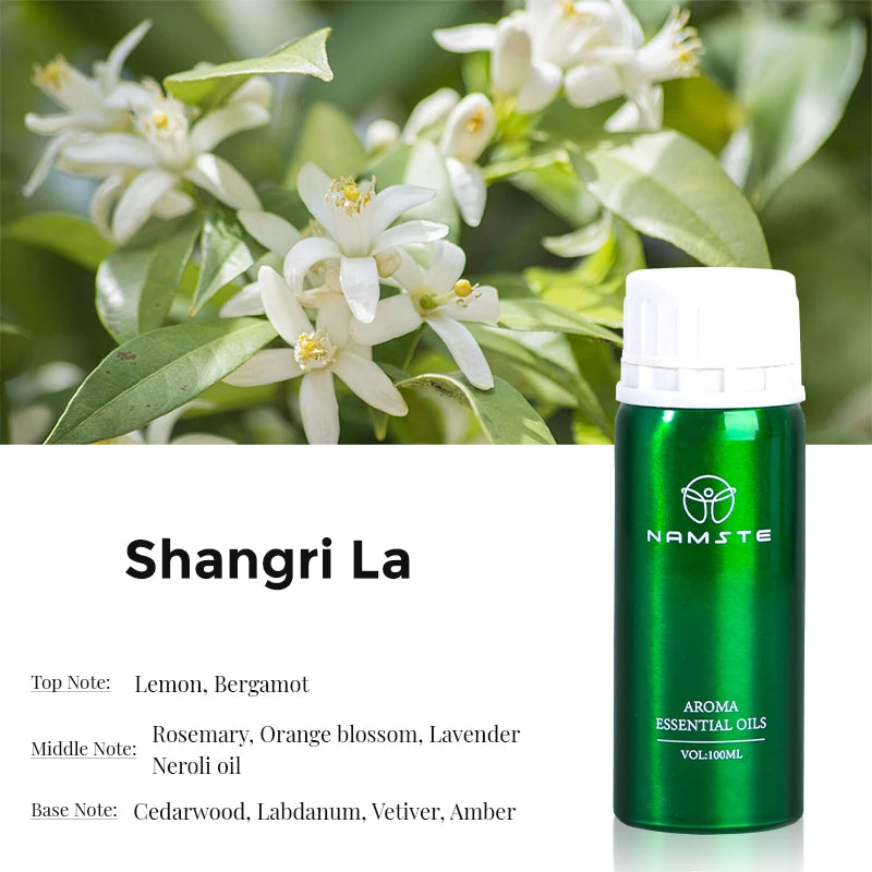 Electric Aromatic Hotel Essential Oil Sale Pure Plant Diffuser Essential Oils Oasis Fragrant Device Home Air Freshener