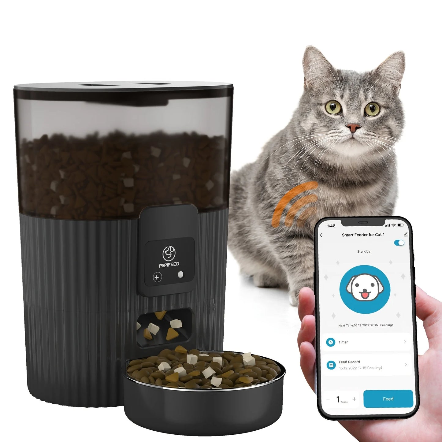Cat automatic feeder dog fixed feeding