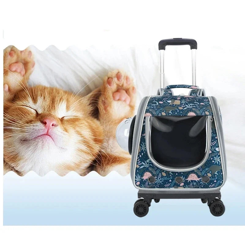 Cat Bag Handrail Shoulder Back