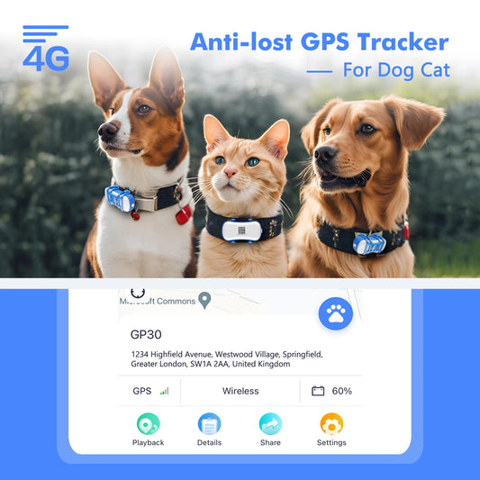 ‌4G Dog Cat GPS Tracker for Pets -