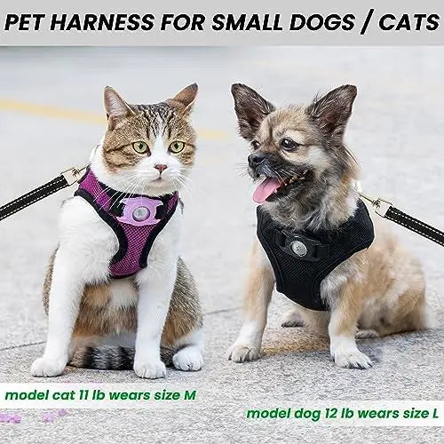 Small Dog Harness with Airtag, Reflective Leash Set – Safe & Easy Walking  

SEO Title: Small Dog Harness + Airtag Set – Safe Wa