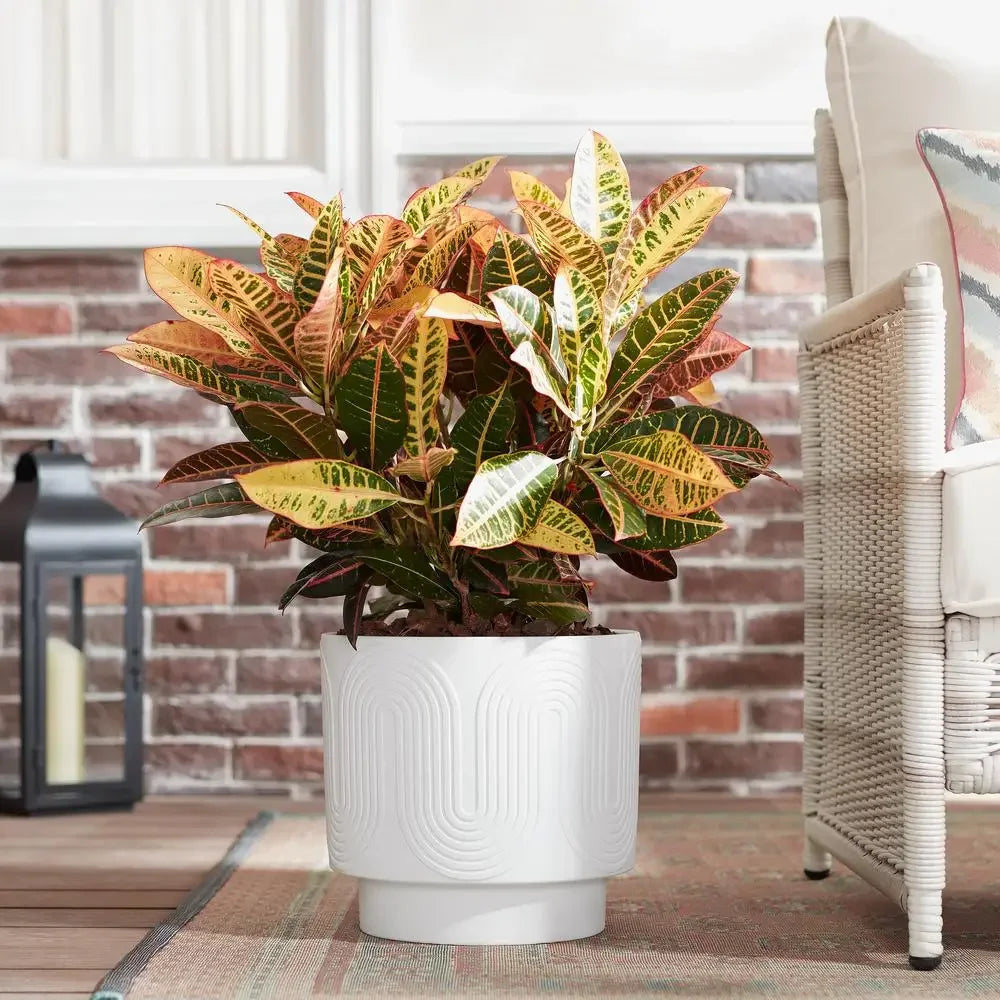 12" White Ceramic Planter Grooved Wave Design