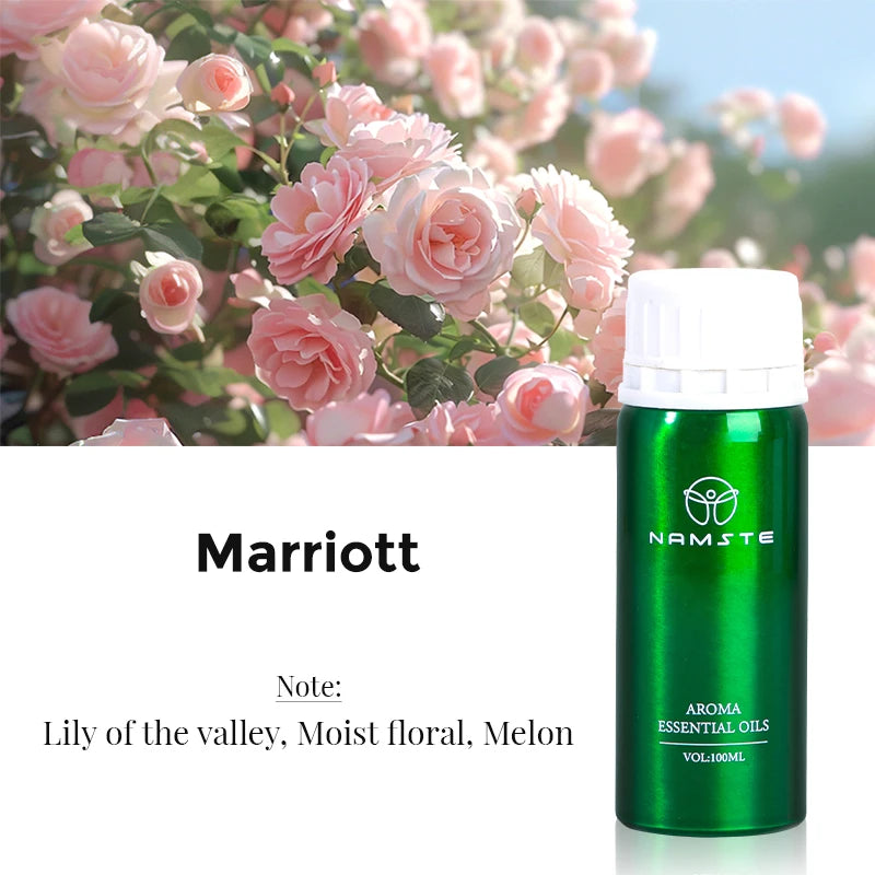 Electric Aromatic Hotel Essential Oil Sale Pure Plant Diffuser Essential Oils Oasis Fragrant Device Home Air Freshener