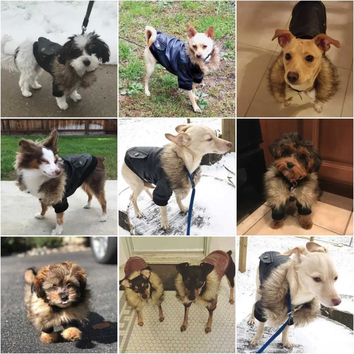 Coat Medium Dog winter Leather pets for dog Waterproof Small Dogs Winter Dog