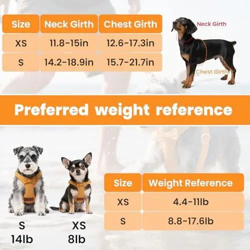 Adjustable small dog harness with leash, perfect for puppies, 1.5m, yellow, size XS.