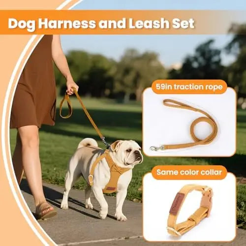 Adjustable small dog harness with leash, perfect for puppies, 1.5m, yellow, size XS.
