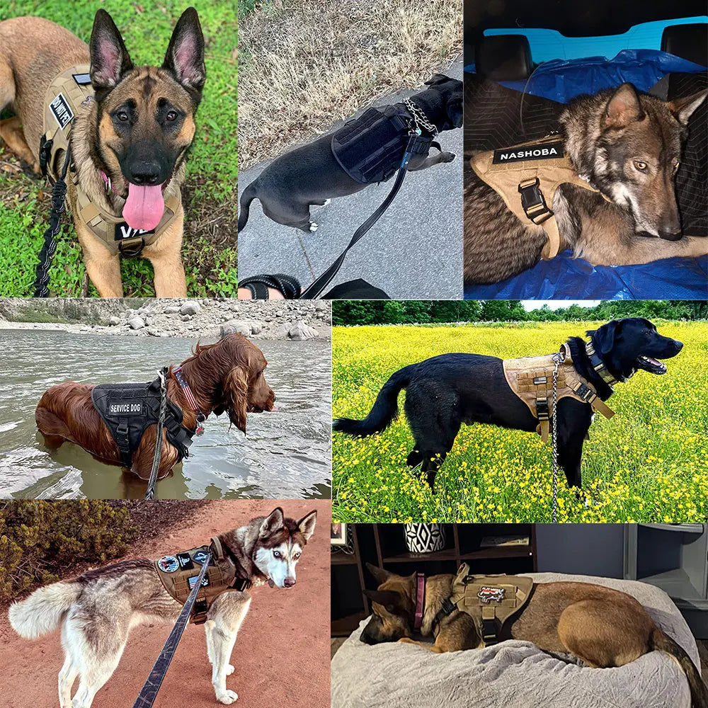 Military Large Dog Harness Collar Leash Bags Patches Set Pet Malinois Training Vests