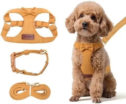 Adjustable small dog harness with leash, perfect for puppies, 1.5m, yellow, size XS.